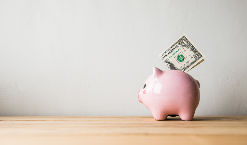 Piggy bank with dollar being inserted